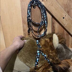 Black and Blue Space Dog No Pull Harness and Leash Set